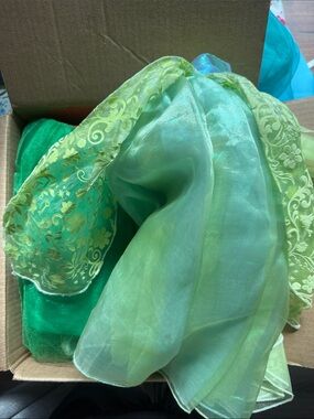 Sheer Green Organza Scarf with Gold Floral Trim